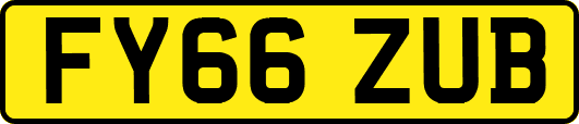 FY66ZUB
