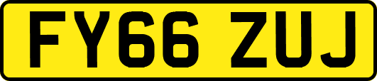 FY66ZUJ