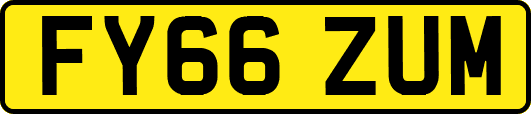 FY66ZUM