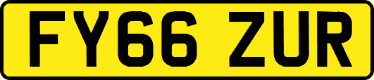 FY66ZUR