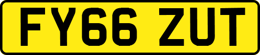 FY66ZUT