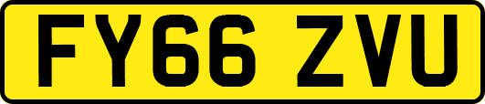 FY66ZVU