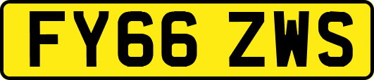 FY66ZWS