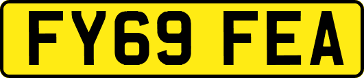 FY69FEA