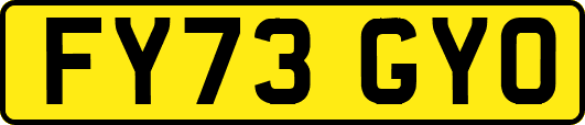FY73GYO