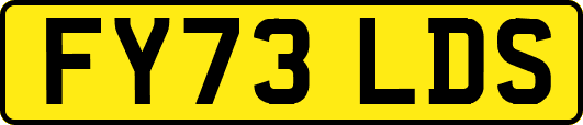 FY73LDS