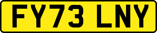 FY73LNY