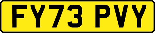 FY73PVY