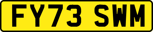 FY73SWM