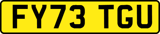 FY73TGU