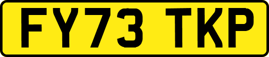 FY73TKP