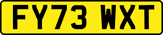 FY73WXT
