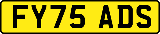 FY75ADS