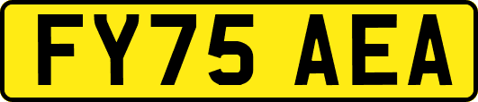 FY75AEA