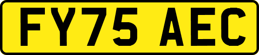FY75AEC