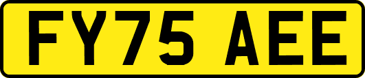 FY75AEE