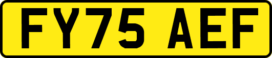 FY75AEF