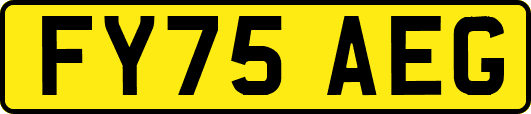 FY75AEG