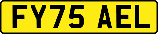 FY75AEL