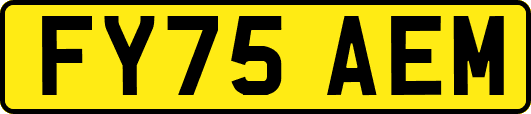 FY75AEM