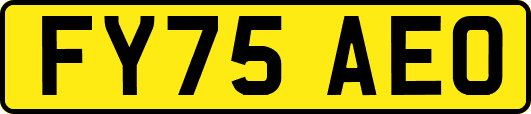 FY75AEO