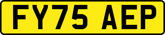 FY75AEP