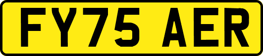 FY75AER