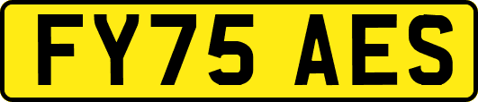 FY75AES