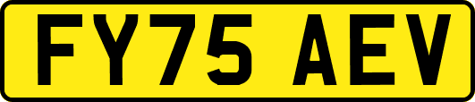 FY75AEV
