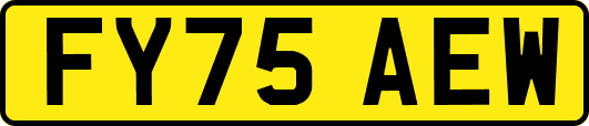 FY75AEW
