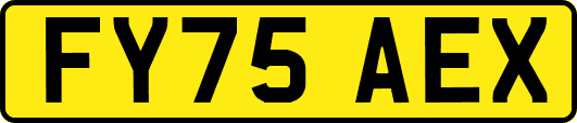 FY75AEX