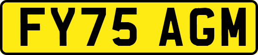 FY75AGM