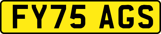 FY75AGS