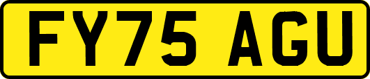 FY75AGU
