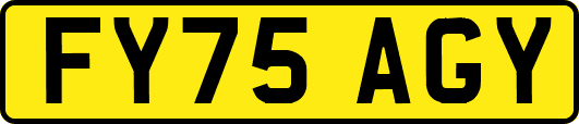 FY75AGY