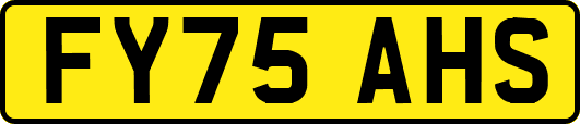 FY75AHS