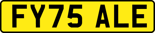 FY75ALE