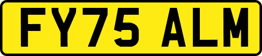 FY75ALM