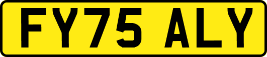 FY75ALY