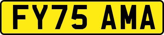 FY75AMA