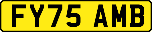 FY75AMB