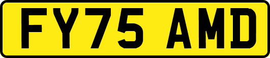 FY75AMD