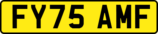 FY75AMF