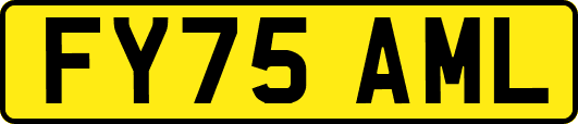 FY75AML