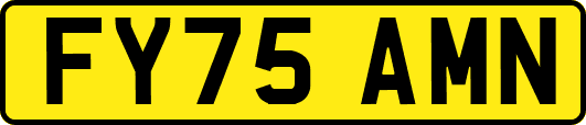 FY75AMN