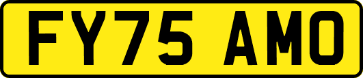 FY75AMO