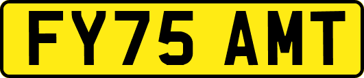 FY75AMT