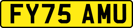 FY75AMU