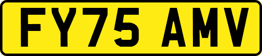 FY75AMV