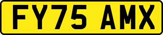FY75AMX